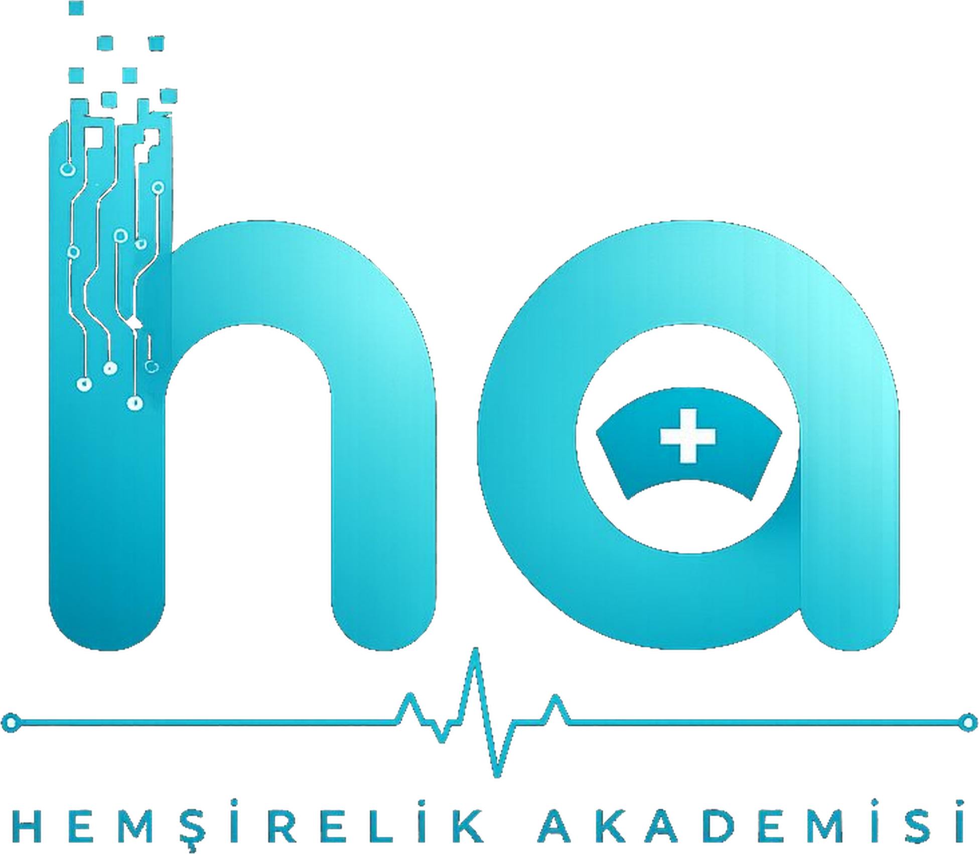 Hemşirelik Akademisi